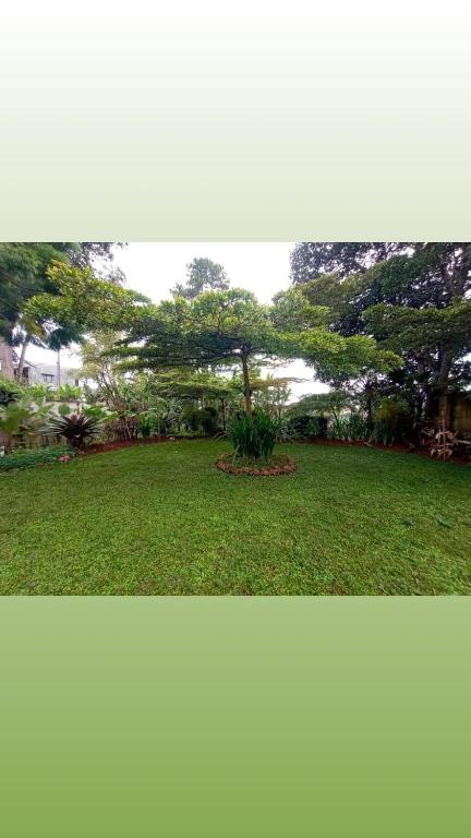 Nyaman disini, Situ 2