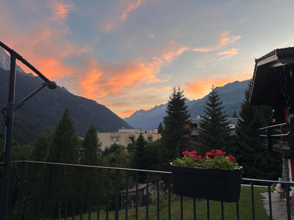 Mountain spot in a cozy nest, Airolo