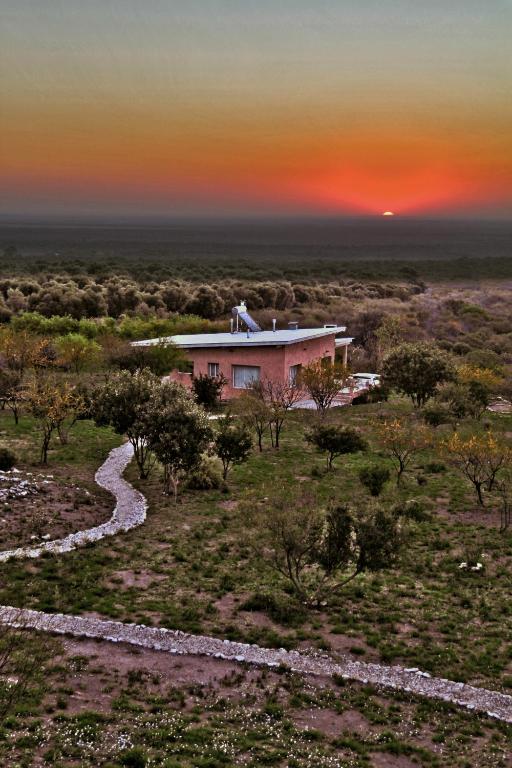 Terrazas del Olivar - 1