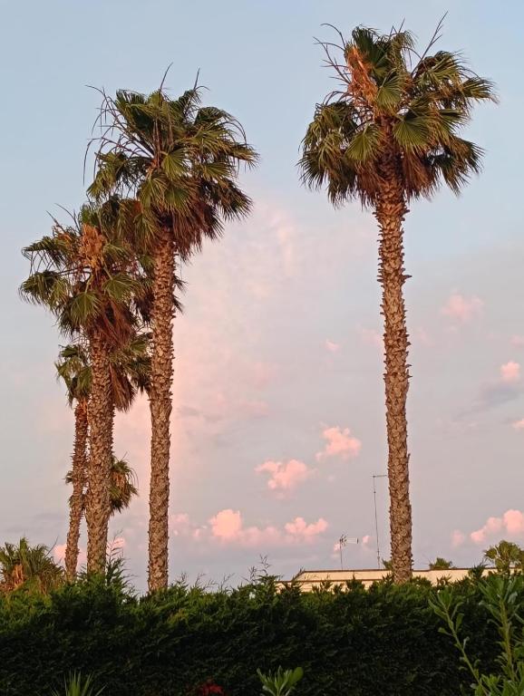 Masseria Lama - 2