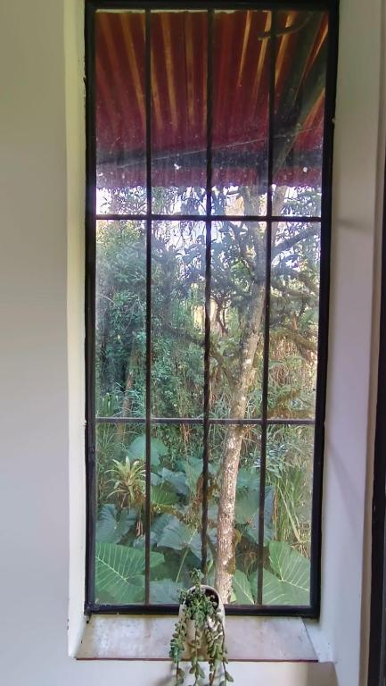 Apartamento Central Campestre 2 - 4