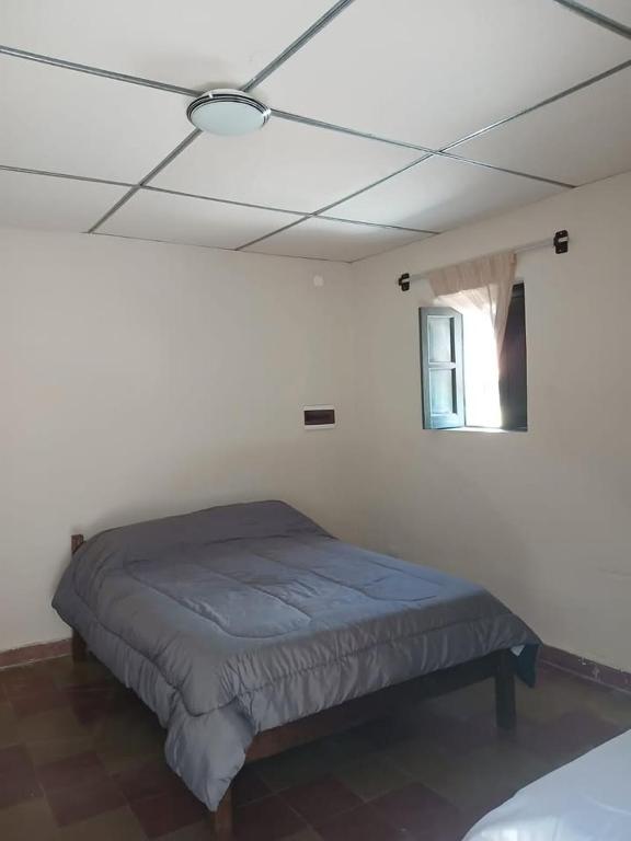 Hospedaje Vientos de Volcan - 4