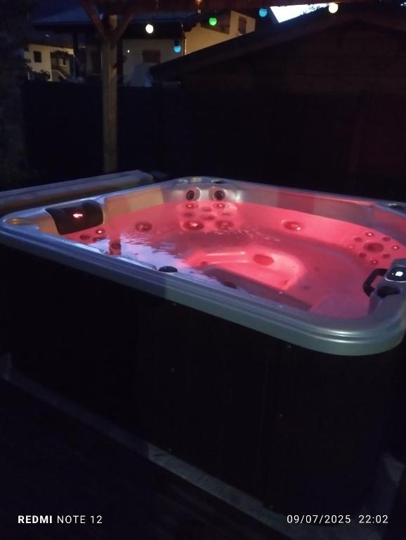 La sapinette avec jaccuzzi - 3