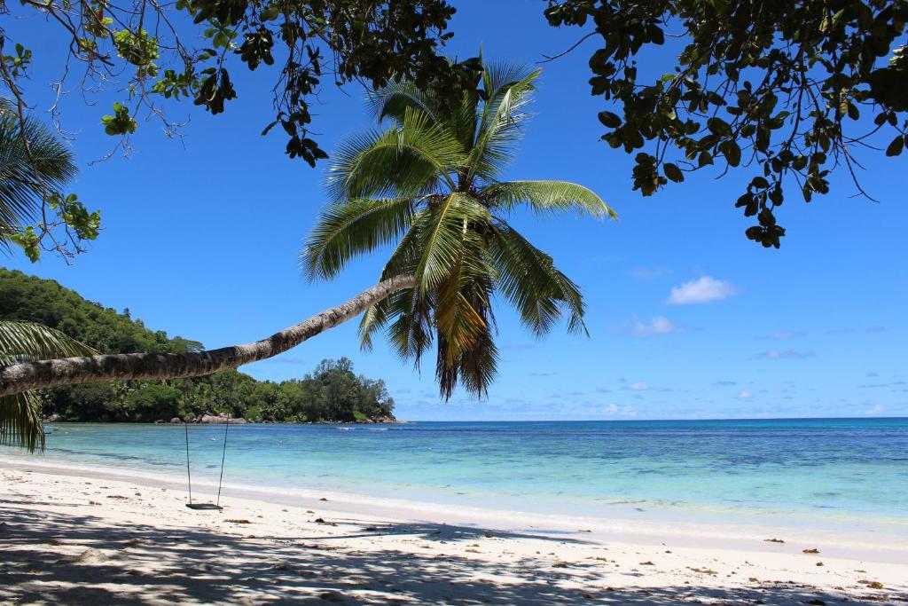 Green Blue Beach House photo