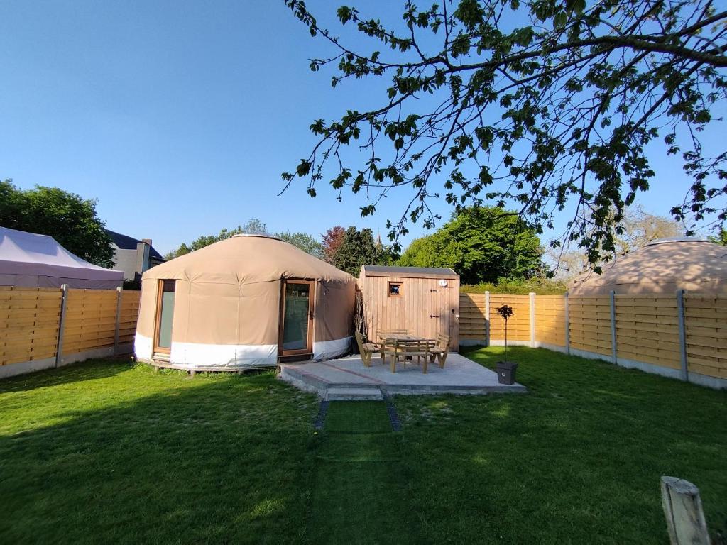 Le camélia, Brugelette