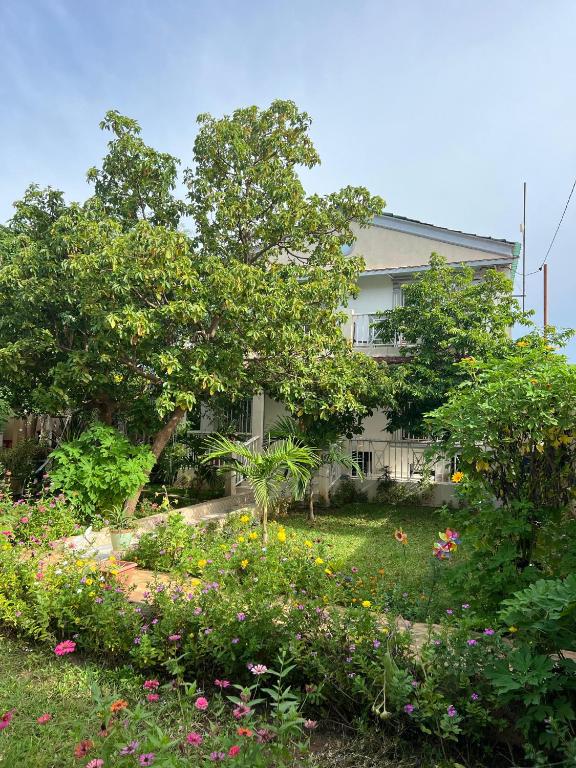 Mount Pleasant, Brufut