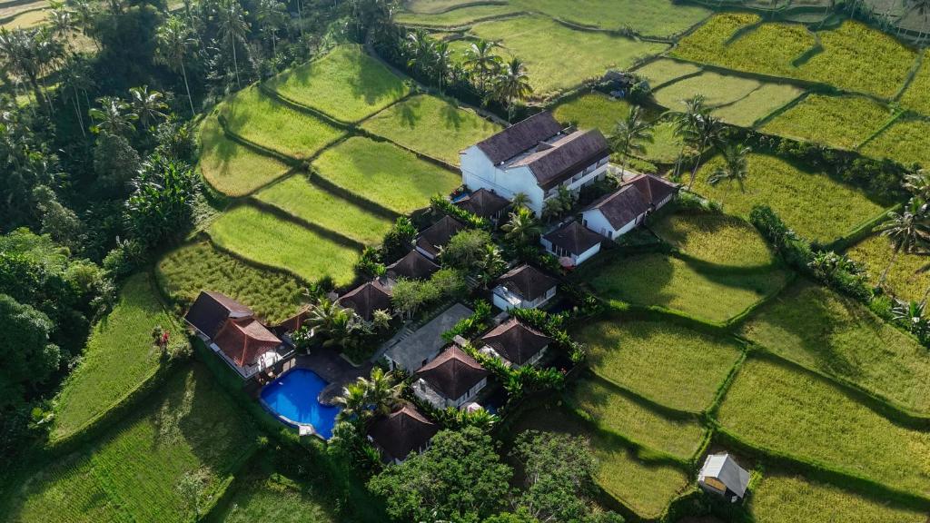 Tanta Escape, Tegalalang