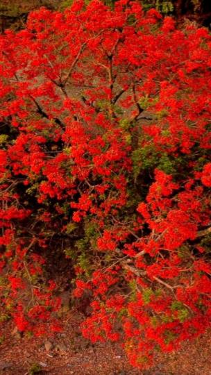 cabañas la brama - 3