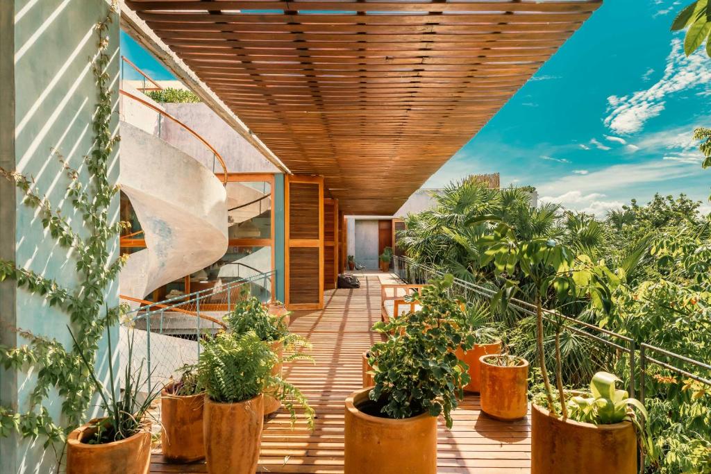 Casa Bautista Tulum - 5
