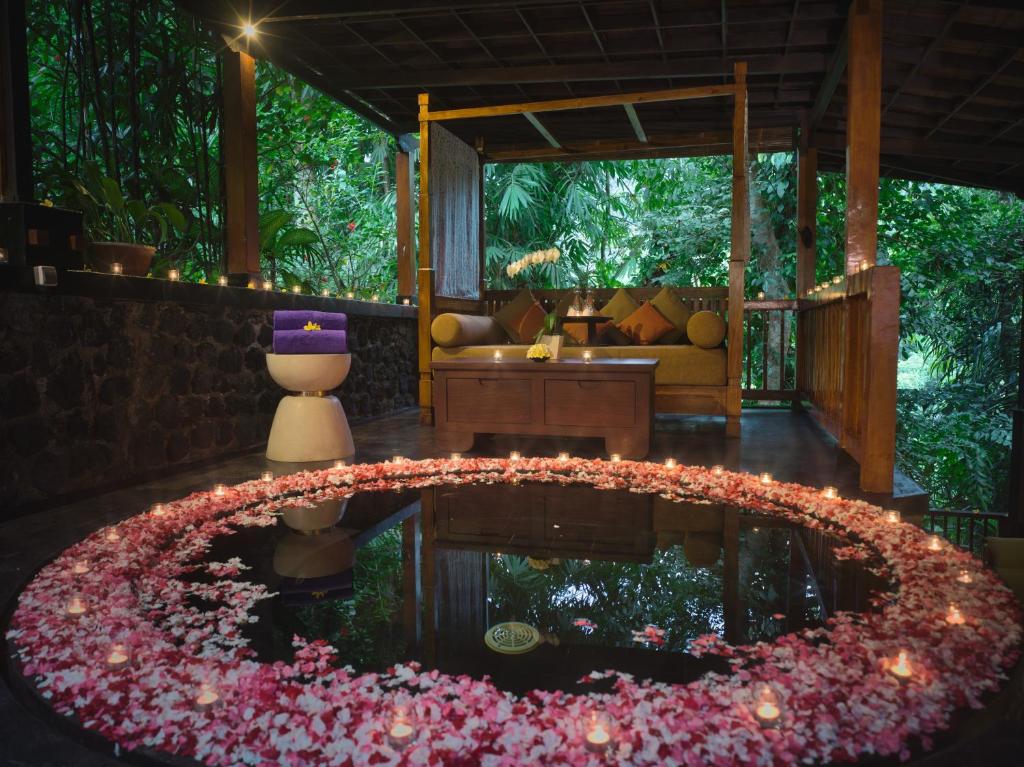 wellnessfaciliteiten