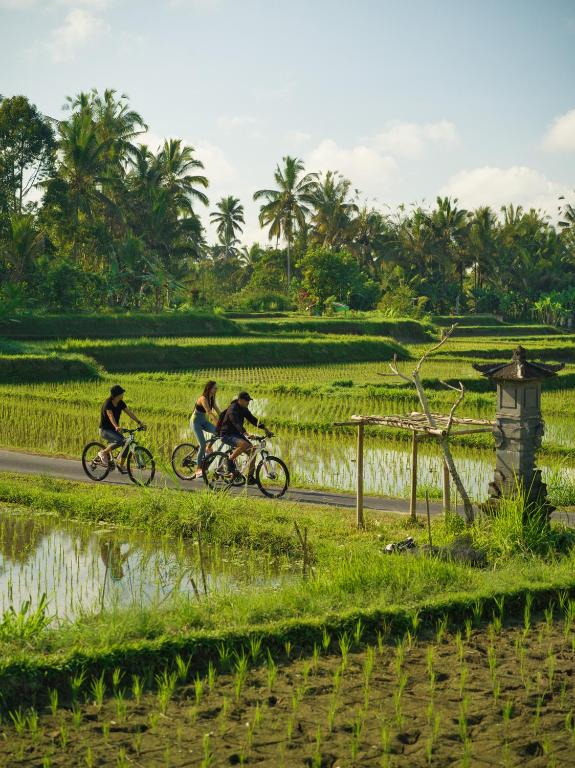 Sport en activiteiten