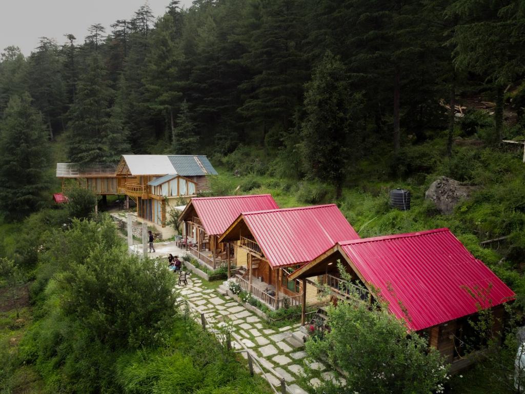 Himalayan Cedar Nest, Sainj