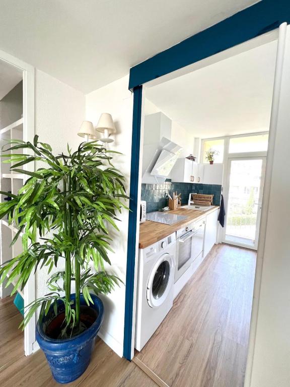 Grand appartement refait à neuf belle vue mer - 5