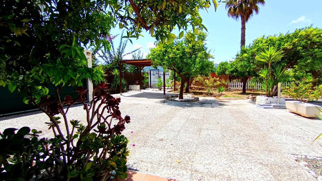 Finca él Aulagar - 3