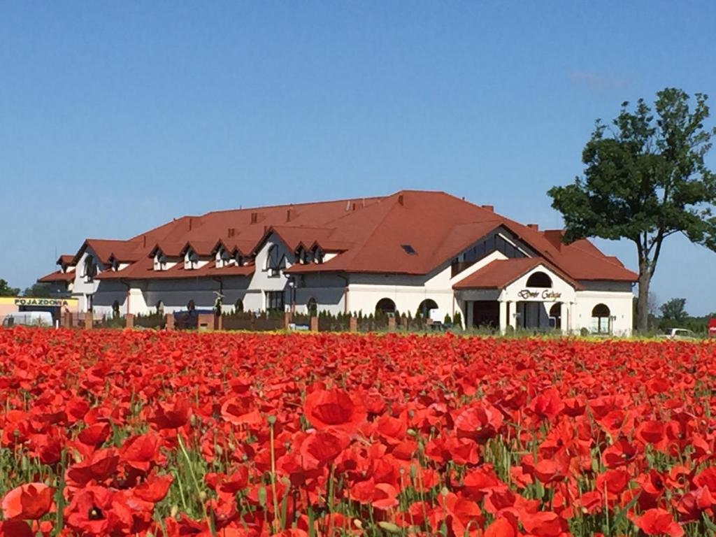 Hotel Dwor Galicja — Hotel in Stalowa Wola