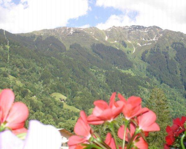 Ferienwohnung Salzgeber - 3