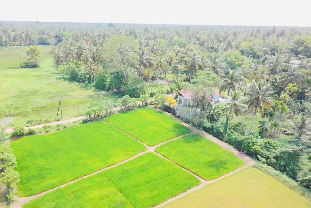 Wela addara, Bingiriya