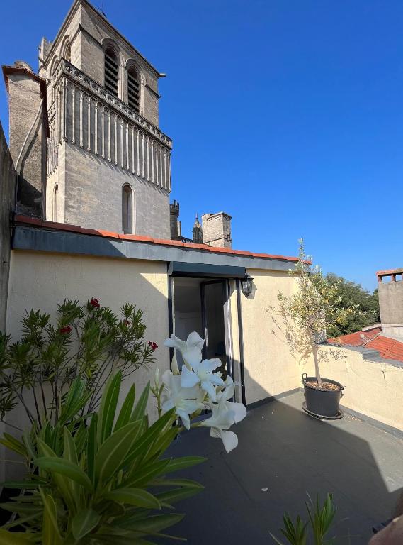 Le Logis du Chanoine, 50 m2 and terrace face to Cathedral - 4