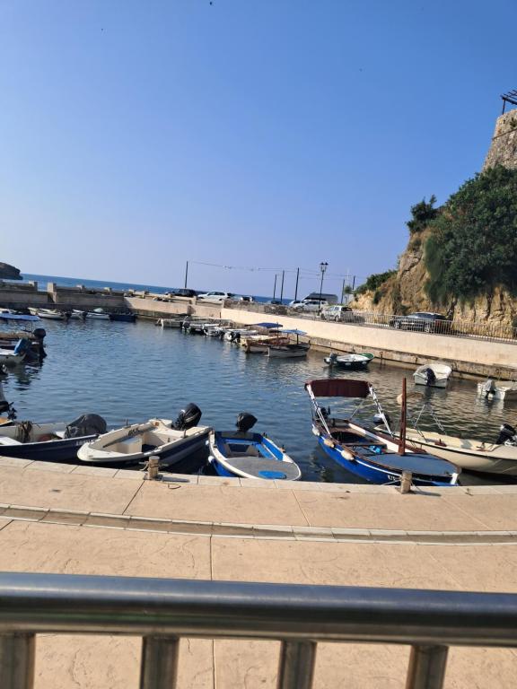 Apartments Antigona 2 Old Town Ulcinj - 3