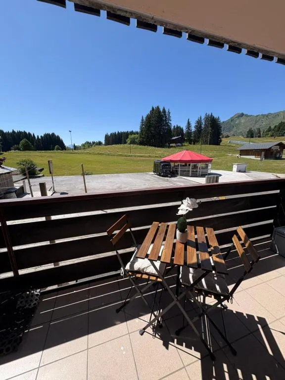 Appartement cosy à la montagne aux pieds des pistes pour 4 personnes et 1 bébé, hotel in Taninges