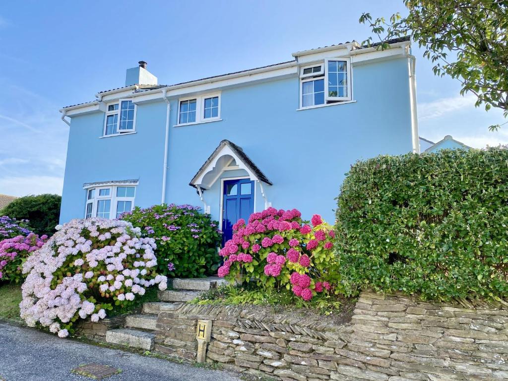 Choughs, Saint Minver