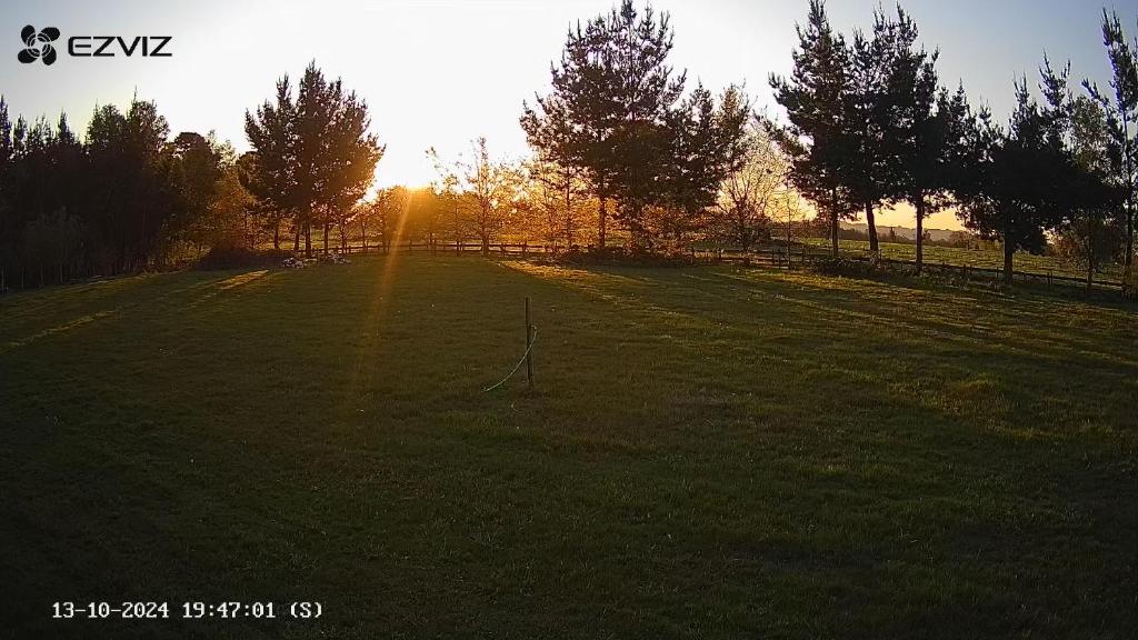 Cabaña en Freire - 4