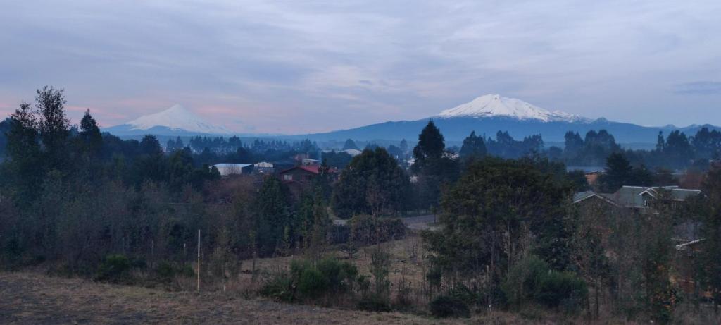 cerveza valle escondido - 2