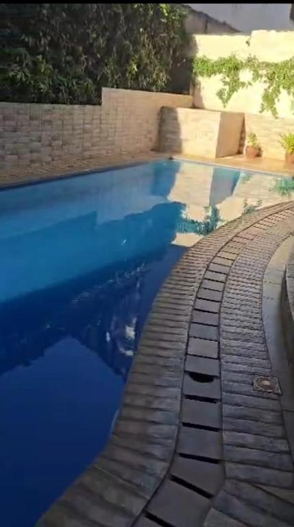 Emerald &Saphire, Gatunga