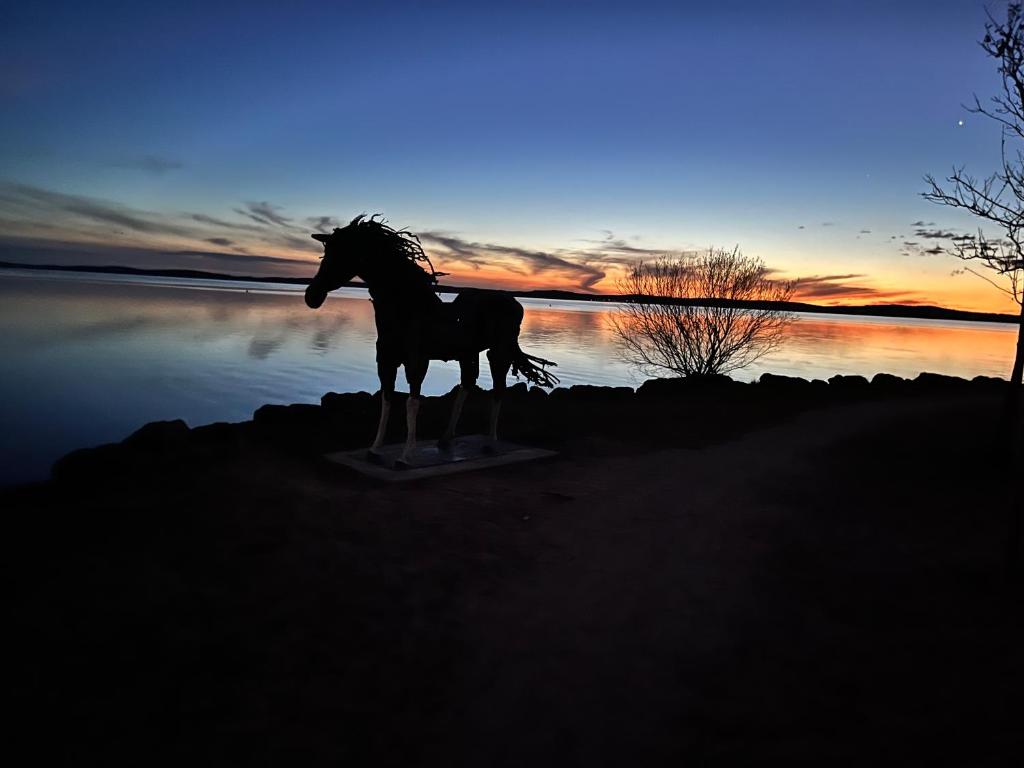 La parenthèse au pied du lac - 5