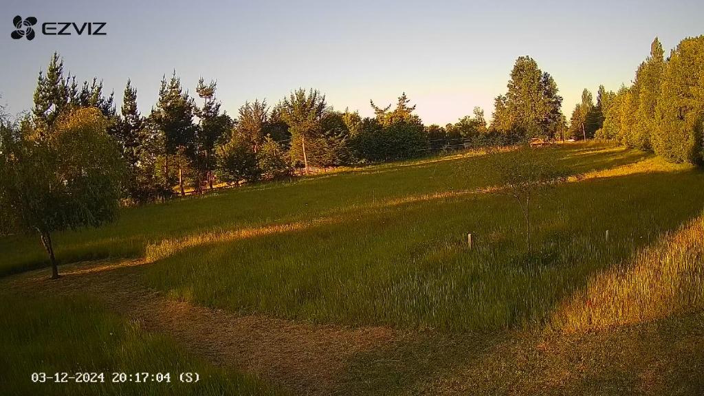 Cabaña en Freire - 2