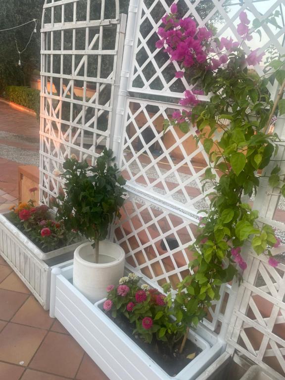 Villa Fiory - 5
