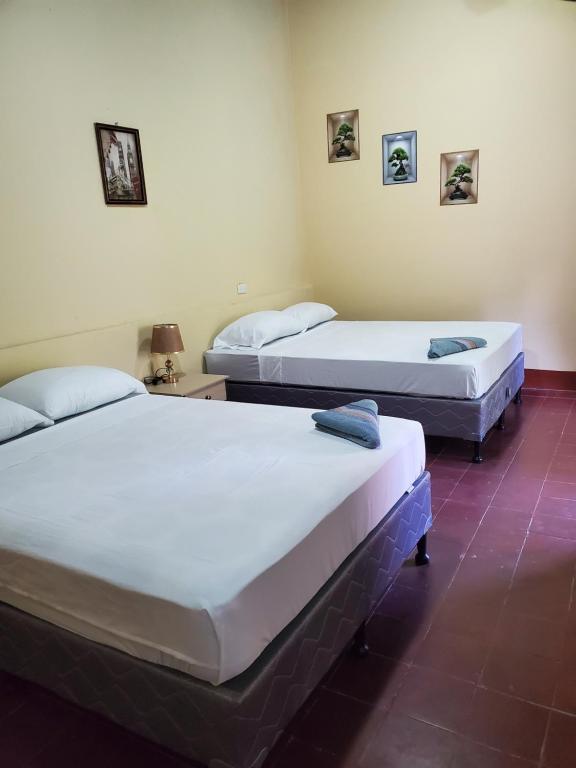 El Sol Hostel, León