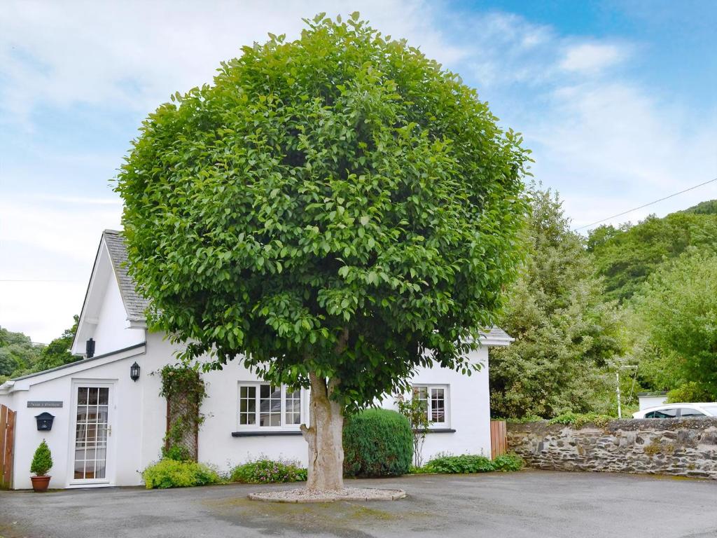 Nant Y Bwthyn, Llanfihangel-geneuʼr-glyn