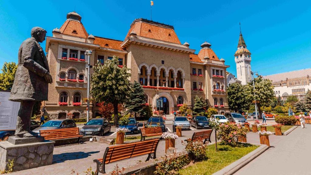 Cosy and Nice Apartment Mures, Târgu-Mureş