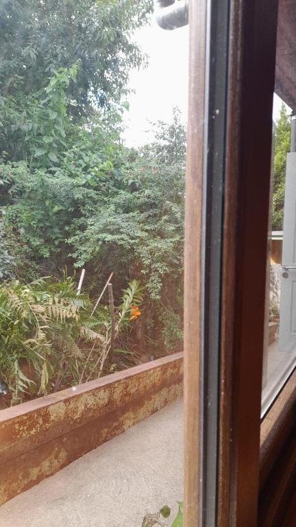 Pleasant central apartment, steps away from the terminal - 5