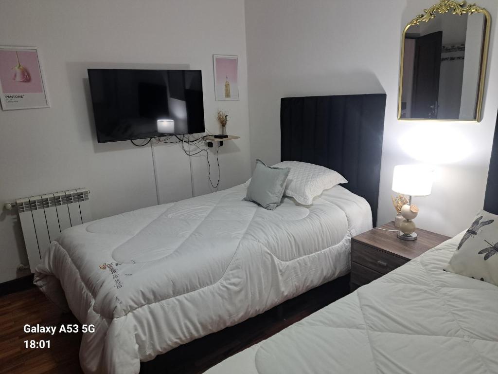 Departamento Alejandro - 3