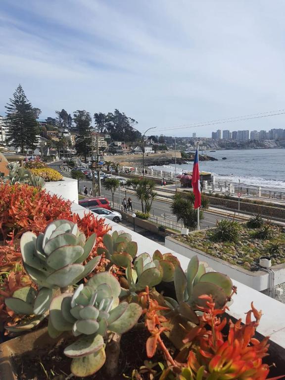 Playa Amarilla Concon - 2