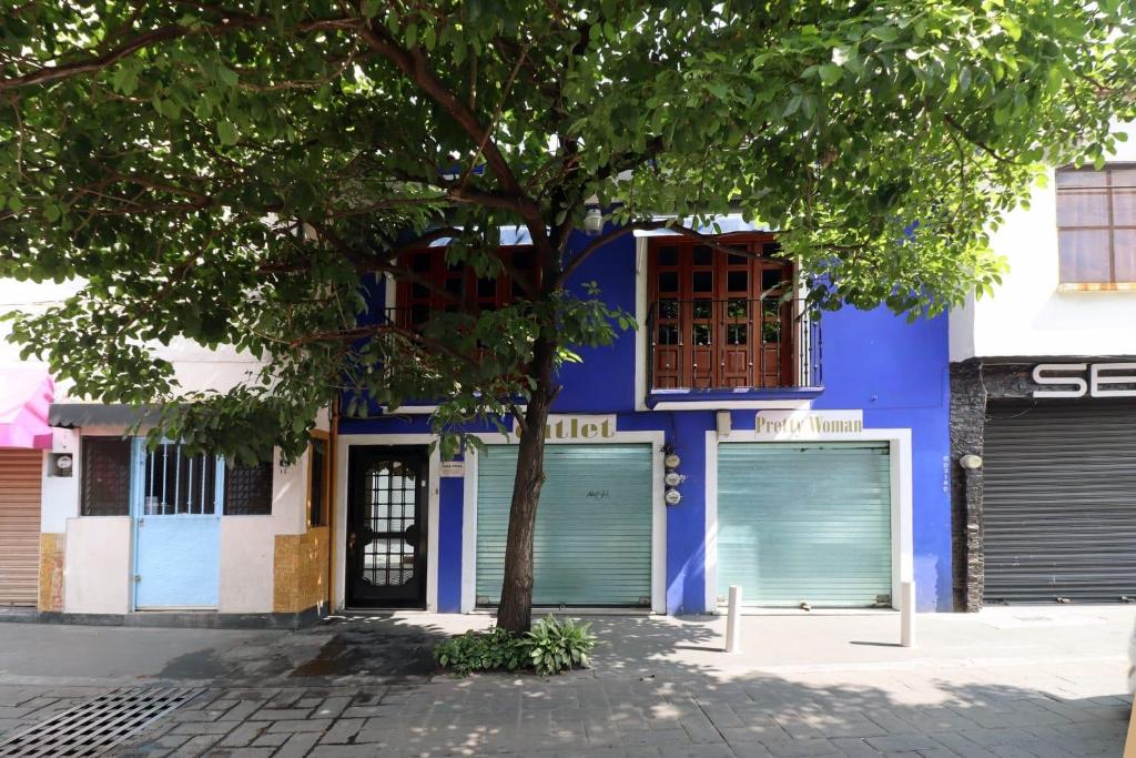 Hotel Casa Frida - 5