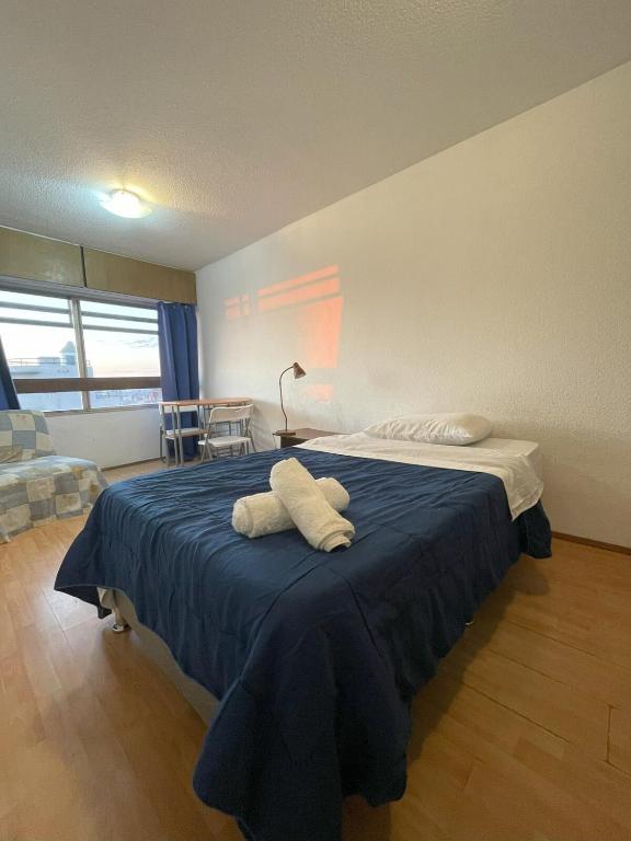 Apartamento céntrico, a pasos de Terminal Tres Cruces - 1