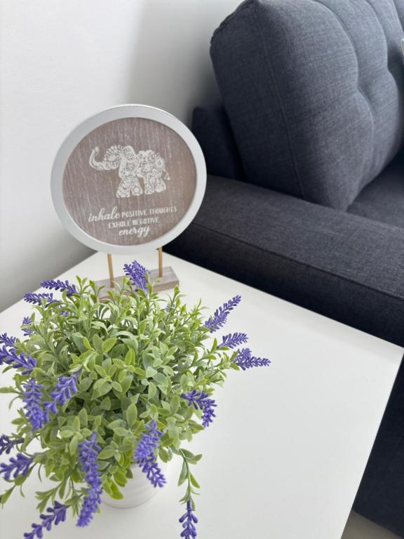 Whats not to LOVE, South West Rocks