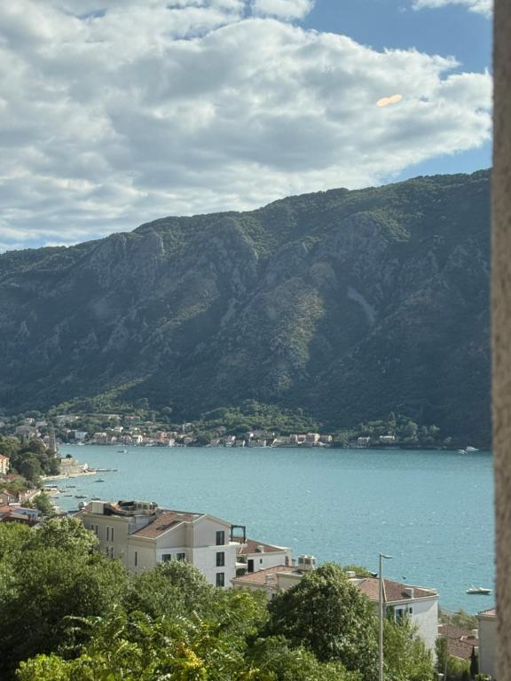 APARTTLu, Kotor