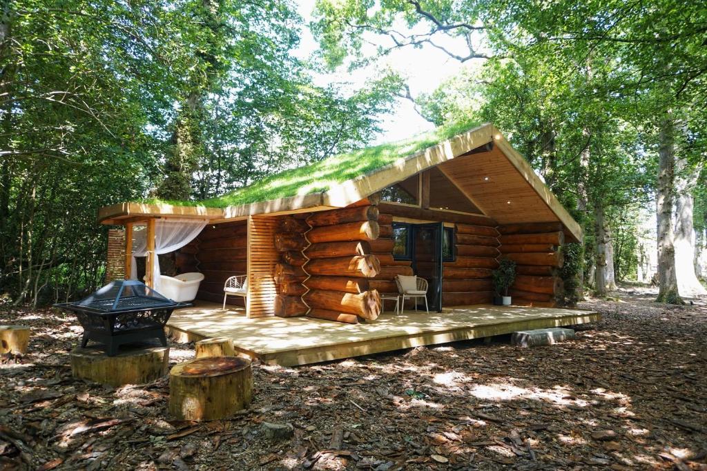 Secluded Hand Crafted Log Cabin, Okehampton