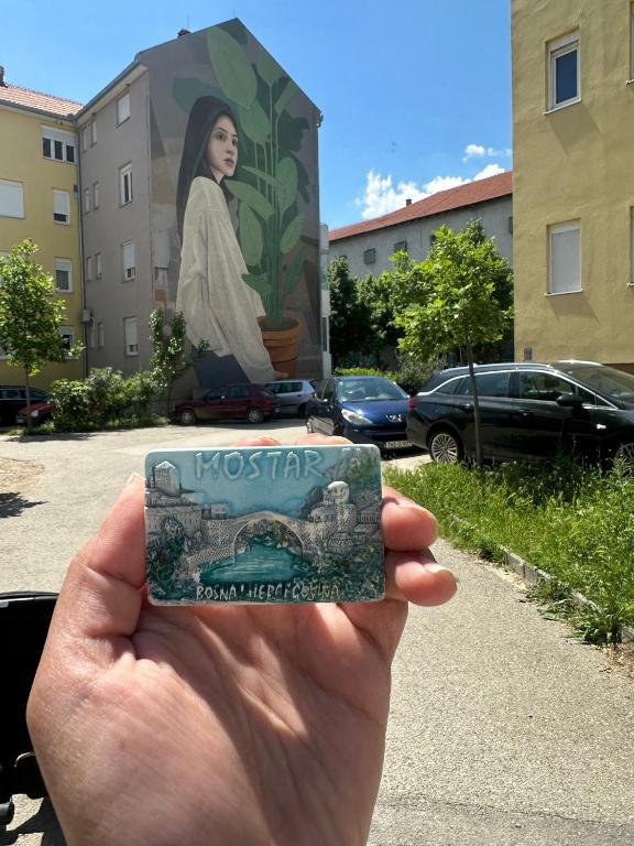 Apartment Collina - 3