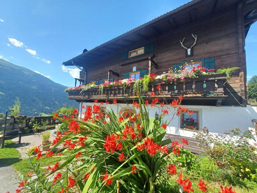 Stefflhof Mittersill - 5