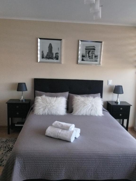 Depto studio chillan - 3