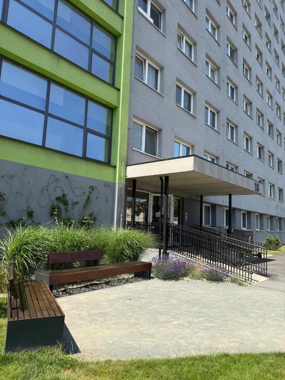 Krivá Apartment, Košice