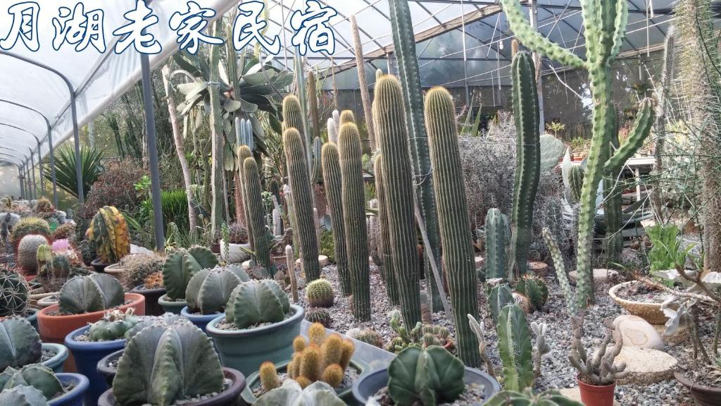 Moon Lake House Inn 호텔 이미지 1