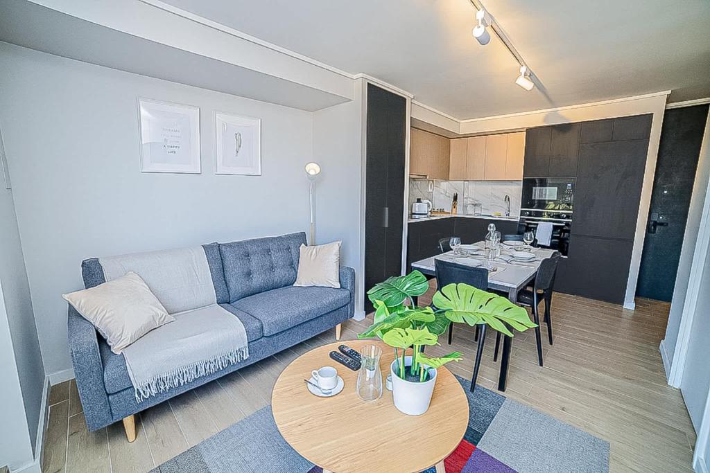 Functional and Bright Apartment in Providencia, Santiago