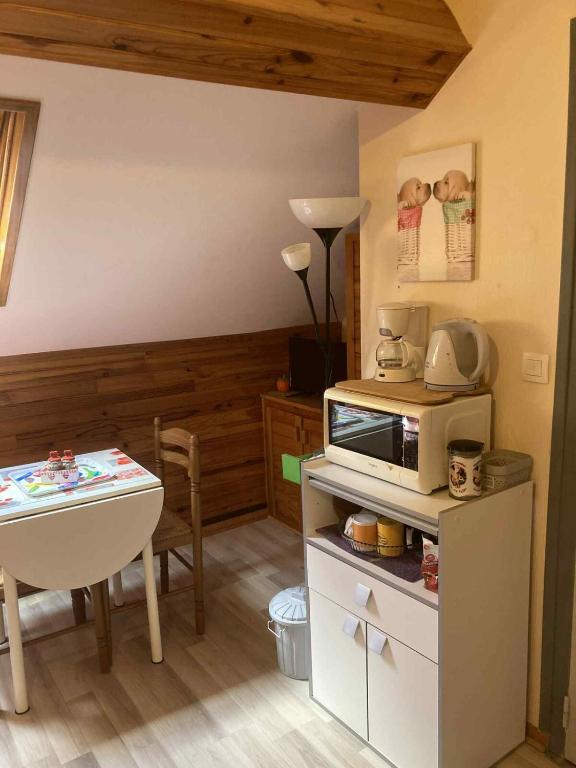 Studio CENTRE Mont Dore, Volière des Pics 2pers15m2 parking Gratuit chemin randonnée - 5