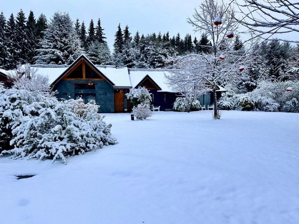 Arcano Casa Montaña - 4